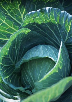 熱海で楽しむ絶品フレンチガイド2025：おすすめレストランと絶対外せないポイント